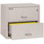 Fireproof 2 - Drawer File Cabinet-217204-331546