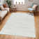 Lizan Shag Area Rug