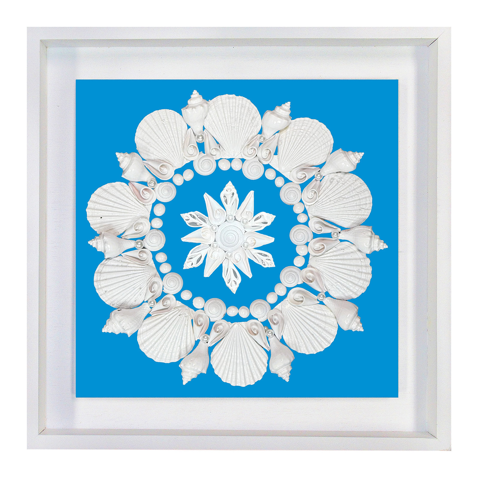 Beachcrest Home Finished Art-Shell Design in 20 x 20 Floating Shadow ...