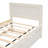 Bed Frame with Trundle,Platform Bed,Beds-379727227