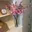 Photos des clients 1 de 1