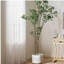 ARBRE À PIERIS 240CMTIFTIFS-954770911
