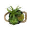 Plante artificielle