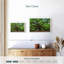 Old Oak Tree-910151664-910151675