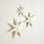 Étoile murale stellaire-98845635-98845636