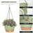 Hanging Planter-1708745768
