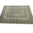 Performance Wool Oriental Indoor Rug