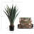32'' Tall Artificial Succulent Plant in Planter