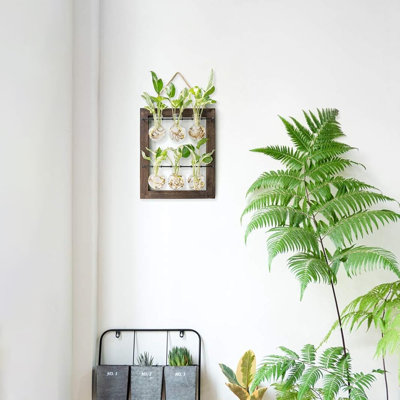 Plante terrarium avec support en bois