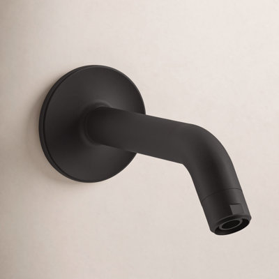 Purist Showerarm and Flange