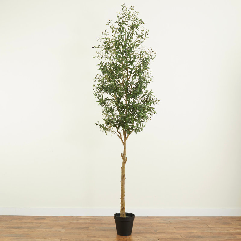 10 pi Olive artificielle