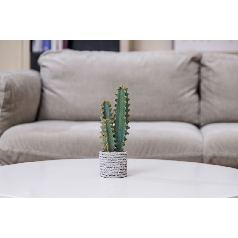 Cactus artificiel | paquet de 2 de 10 po | Décoration amusante pour la maison | Primevue