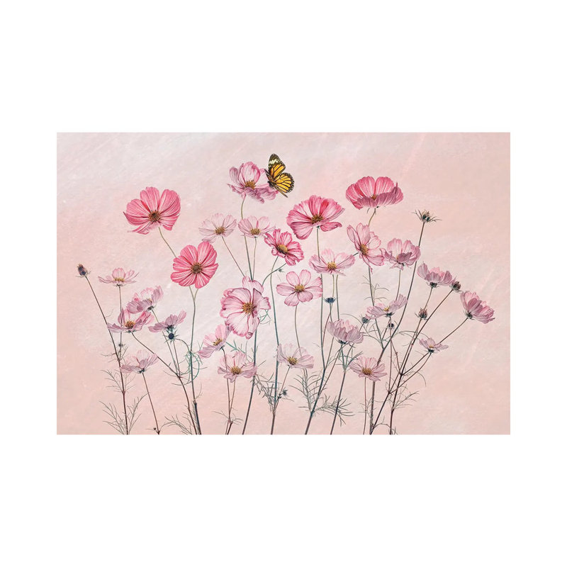 Cosmos And Butterfly by Lydia Jacobs - Wrapped Canvas Painting, 20.32 cm H x 30.48 cm W