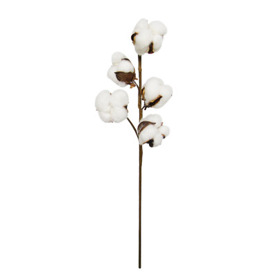 Tige de coton