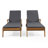 Saeon 78.75" Long Reclining Acacia Single Chaise with Cushions-1595985928