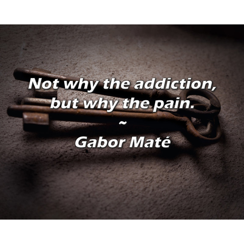 Gabor Maté Quote: Not why the addiction, but why the pain.