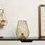 Metal Cordless Table Lamp Cage Shape Battery Operated Lamp with Warm Fairy Lights Bulb-1848027528