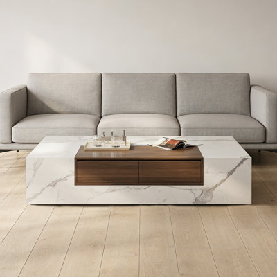 Modern simplicity Coffee Table with 2 Drawers