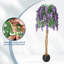 Plant-520078797