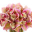 Orchids Arranged in Bamboo-Filled Glass Vase-1508589932