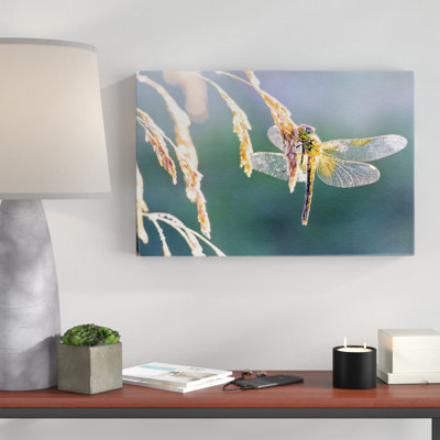 Print on Canvas
