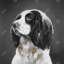 Toile grise pour chambre à coucher | Décoration de chien anglais Springer Spaniel