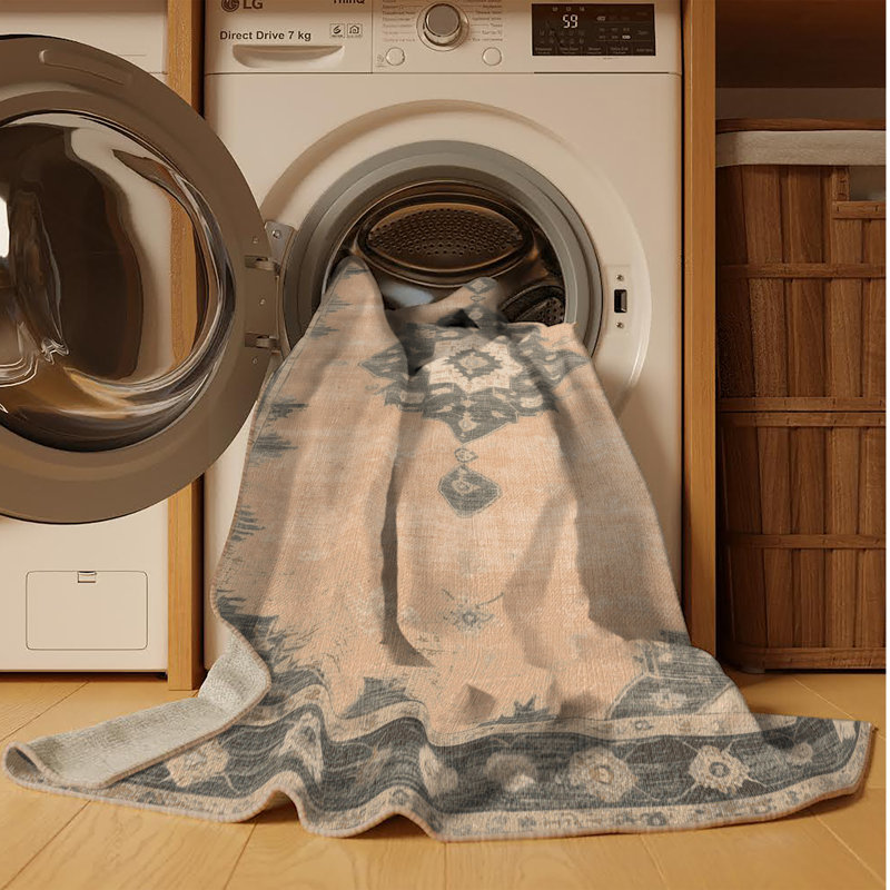 Machine Washable Overdyed Brown Area Rug