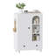 Bathroom Cabinet