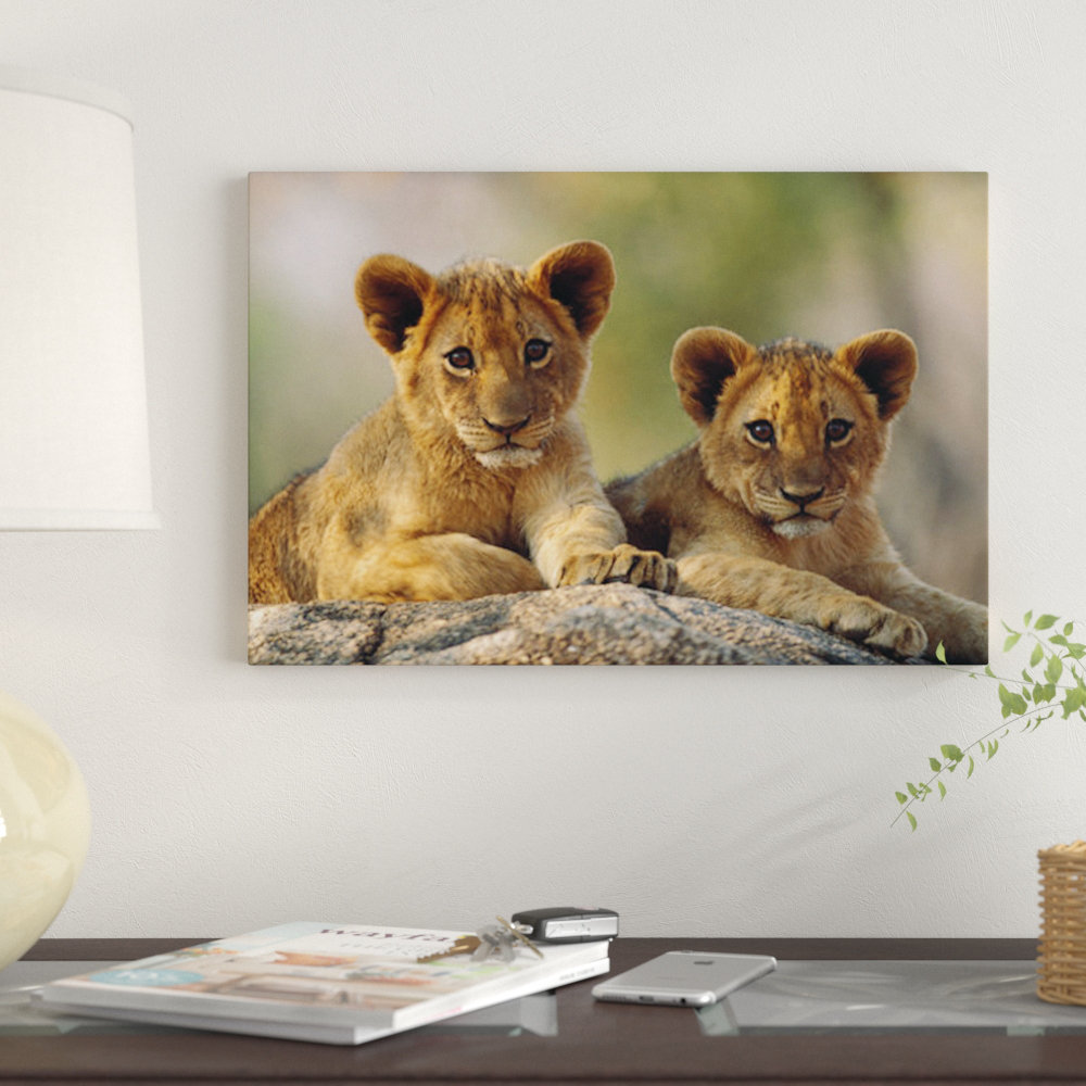 African Lion Cubs, Hwange National Park, Zimbabwe by Tim Fitzharris - Wrapped Canvas Print East Urban Home