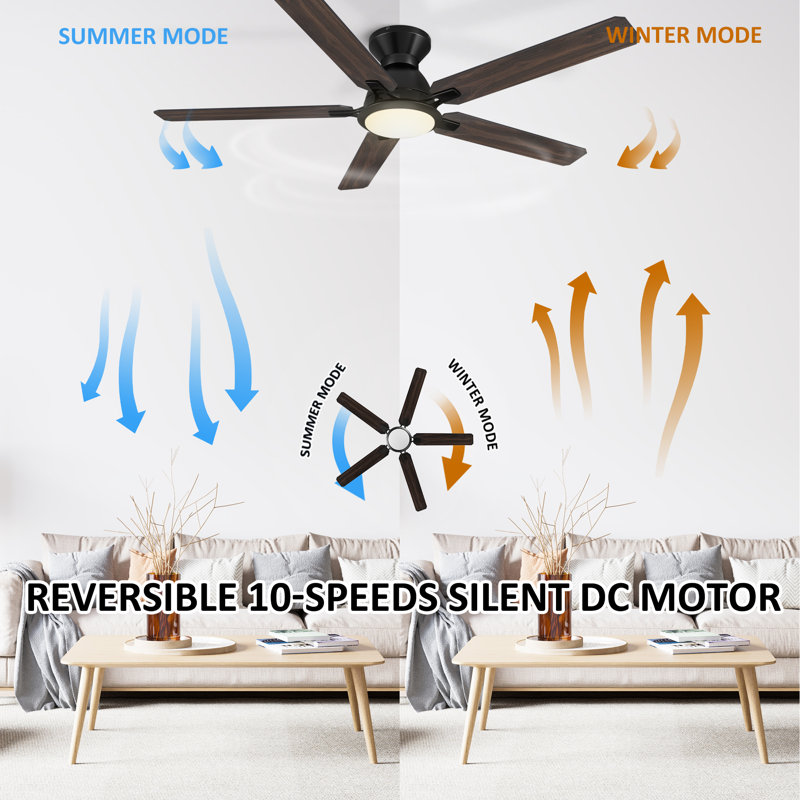 52'' Ceiling Fan with LED Lights