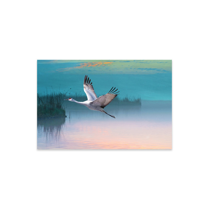 «Sandhill Crane In Misty Marshes» sur plastique / acrylique par Laura D Young