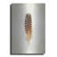 «Feather I» par Debra Van Swearingen-101632569