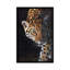 «Jaguar Portrait», reproduction d'impression sur toile-33109455-72416107-72416109