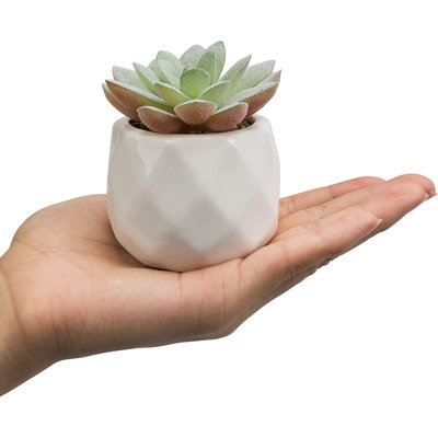 Jarema 4'' Faux Succulent in Ceramic Pot