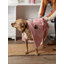 Tapis pour animaux Holdaw Rose Paw-723785047