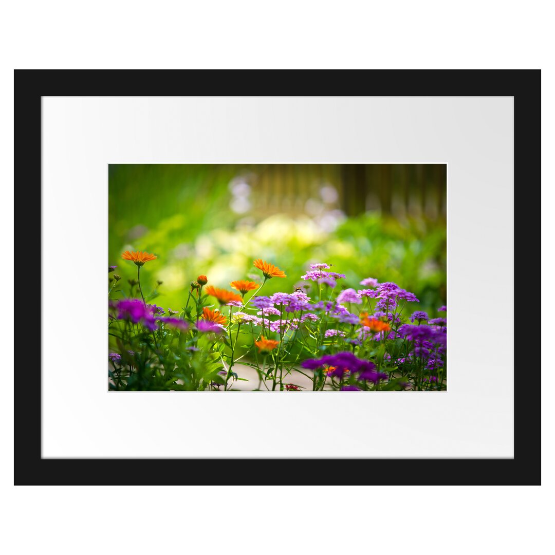 Gerahmtes Poster Blumenwiese