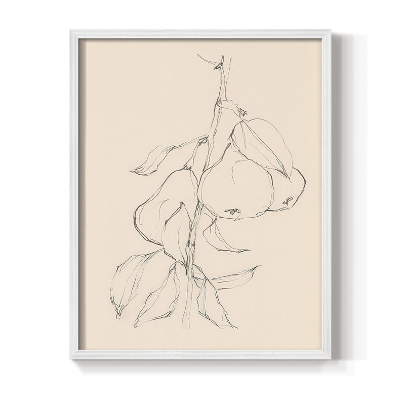 «Fruit Contour Study II», reproduction encadrée - bois massif, Cadre simple blanc, H 10 po x l 8 po