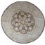 Wool Oriental Area Rug