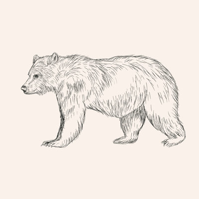 Croquis d'ours par I_Panki - impression