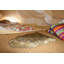 Carlie 60cm X 90cm Area Rug