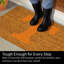 Grand tapis couleur coco de l'Université du Tennessee, 36 po x 24 po