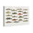 " American Fish " Painting Print-61815336-61815335