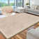 Sumana Faux Fur Washable Indoor Rug