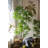Faux Fern Tree in Resin Pot-1839316336