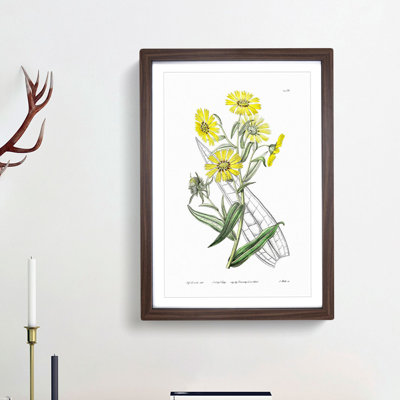 Yellow Daisies - Picture Frame Painting Print