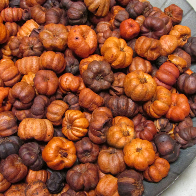 Scented Putka Pods, Scented Putka Pods