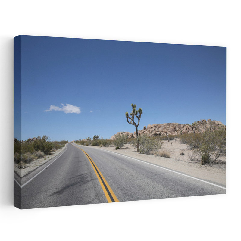 Contemporary Art Abstract Contemporary Cactus Landscape Nature Art by Shot By Clint - Wrapped Canvas Print