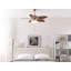 Herwarth Ceiling Fan with Light Kit