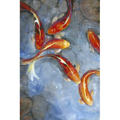 Gracieux Koi II