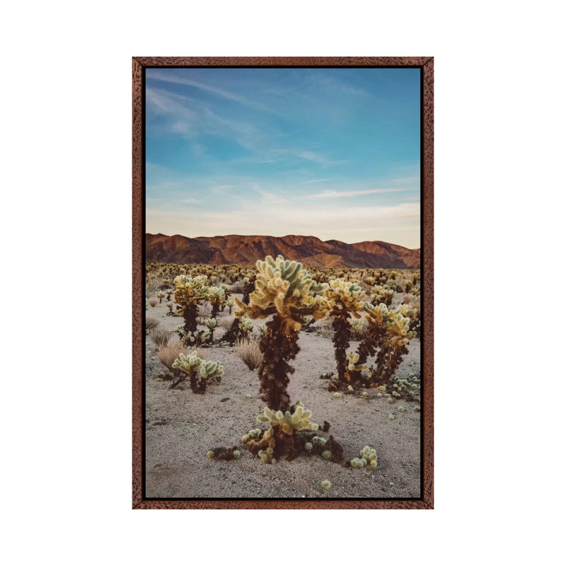 Cholla Cactus Garden II by Bethany Young - Print on Canvas, Classic Brown Wood Framed, 152.4cm H x 101.6cm W x 3.81cm D